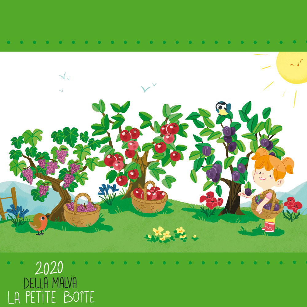 Cliquez sur l'image pour agrandir l'aperçu