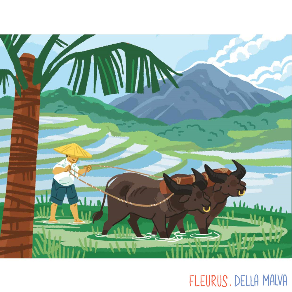 Cliquez sur l'image pour agrandir l'aperçu