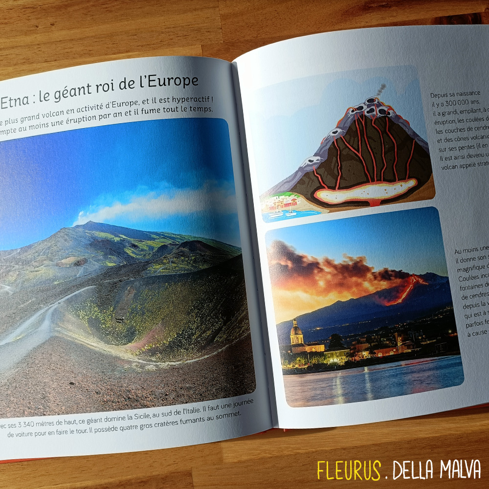 Cliquez sur l'image pour agrandir l'aperçu