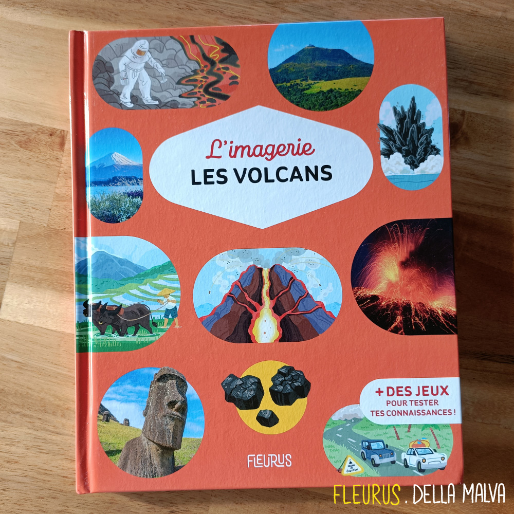 Cliquez sur l'image pour agrandir l'aperçu