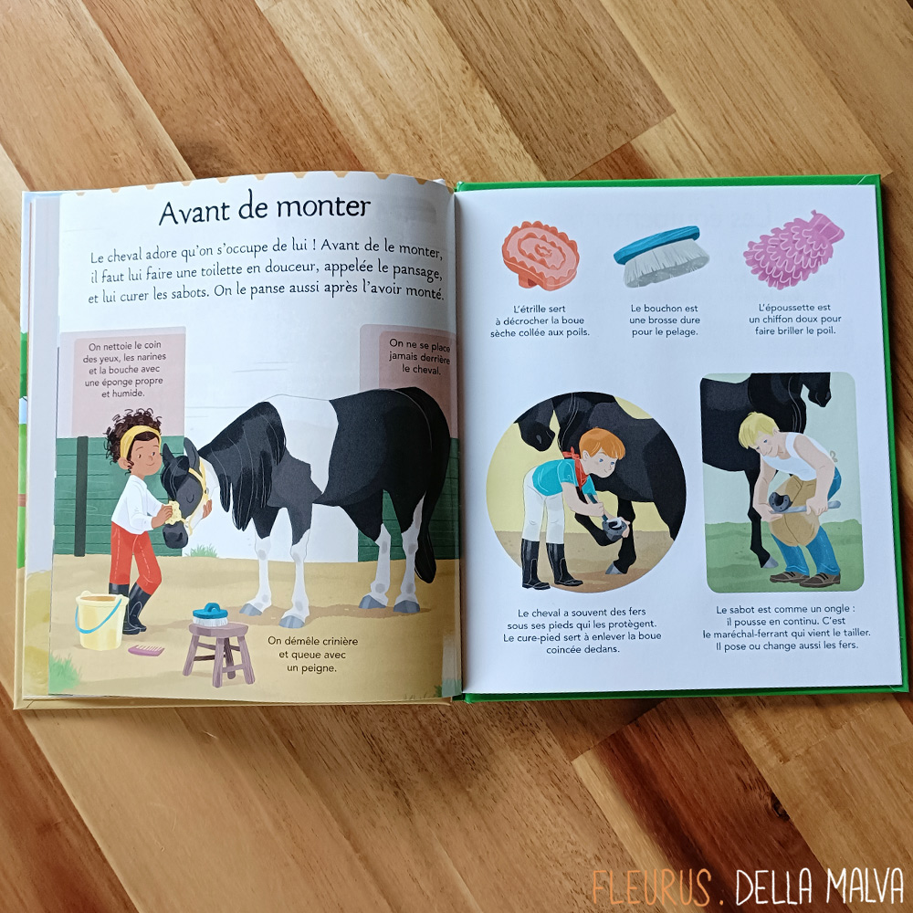 Cliquez sur l'image pour agrandir l'aperçu