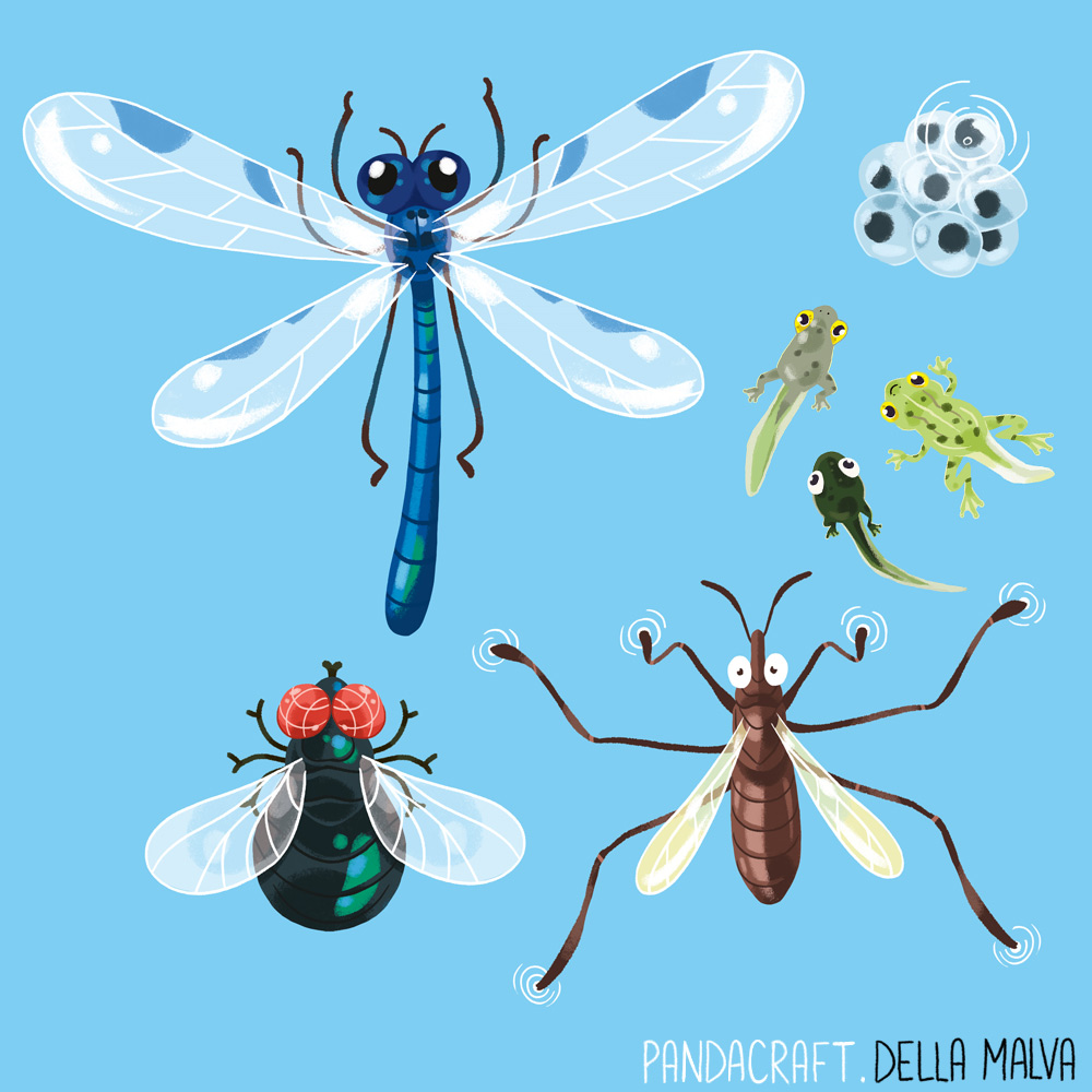 Cliquez sur l'image pour agrandir l'aperçu