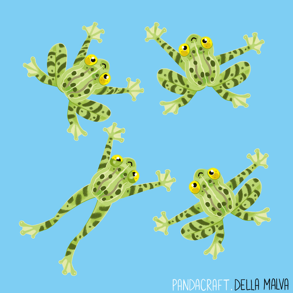 Cliquez sur l'image pour agrandir l'aperçu