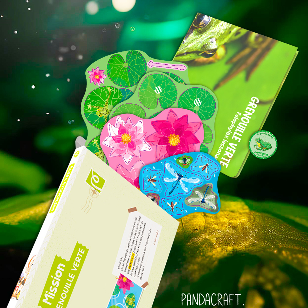 Cliquez sur l'image pour agrandir l'aperçu