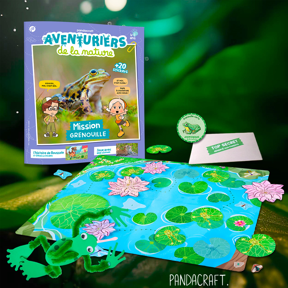 Cliquez sur l'image pour agrandir l'aperçu