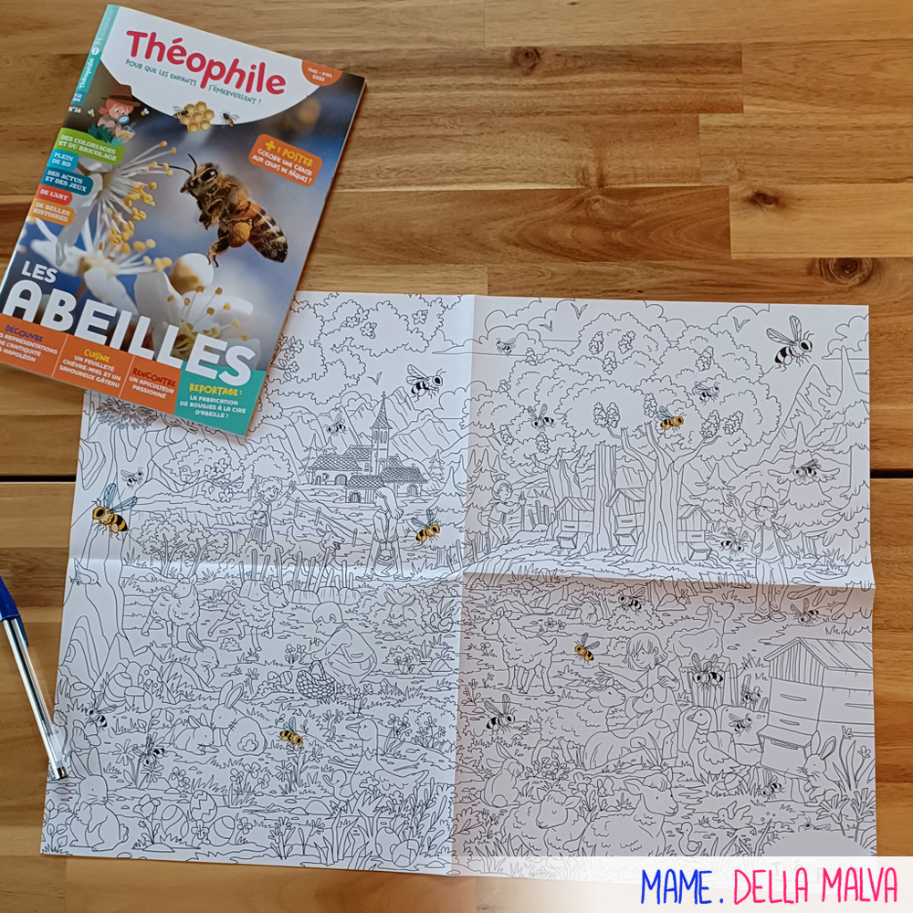 Cliquez sur l'image pour agrandir l'aperçu