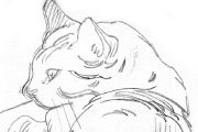 Click